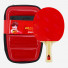 DHS Gold Medal Ding Ning 05