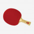 DHS Gold Medal Ma Long 01