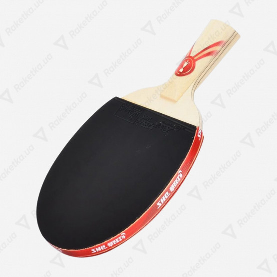 DHS Gold Medal Ma Long 01