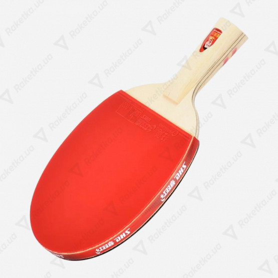 DHS Gold Medal Ma Long 01