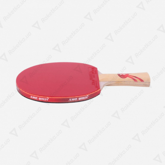 DHS Gold Medal Ma Long 01