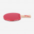 DHS Gold Medal Ma Long 01
