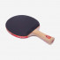 DHS Gold Medal Ma Long 01