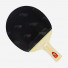 DHS Gold Medal Ma Long 02