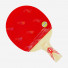 DHS Gold Medal Ma Long 02