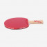 DHS Gold Medal Ma Long 02