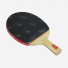 DHS Gold Medal Ma Long 02