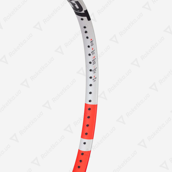 Babolat Pure Strike Team 101522/323