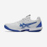 Asics Solution Speed FF 3 Clay 1041A437-100