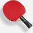 Butterfly Ovtcharov Expert