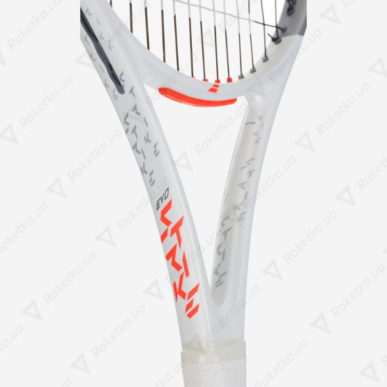 Babolat Evo Strike 101515/100