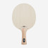 Stiga Arctic Wood