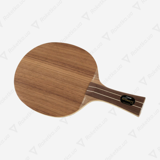 Stiga Intensity NCT Carbon