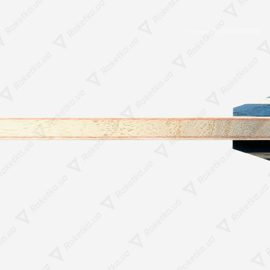 Butterfly Timo Boll CAF