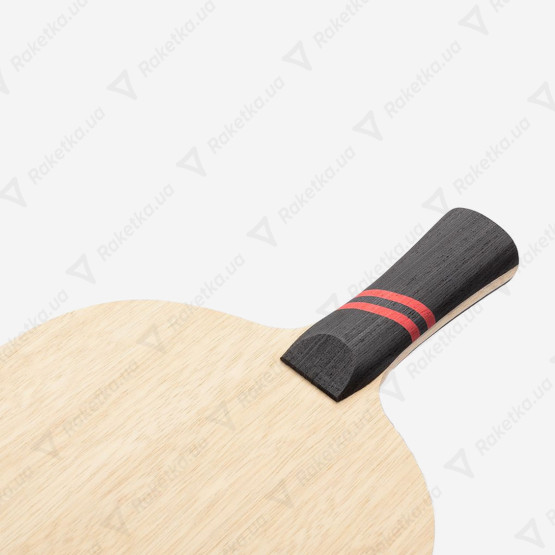 Butterfly Timo Boll Fortissimo