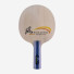 DHS Wind W1010