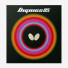 Butterfly Dignics 05