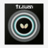 Butterfly Ilius B