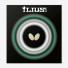 Butterfly Ilius S