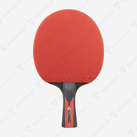 Joola TT-SET DUO Carbon