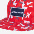 Babolat Basic Trucker Cap 5UA1224-5027