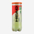Head Padel Team 3ball
