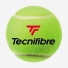Tecnifibre X-One 72ball
