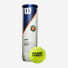 Wilson Roland Garros All Court 4ball