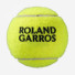 Wilson Roland Garros All Court 4ball