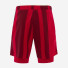 Nike Court Slam Dri-Fit Tennis Shorts FD5218-687