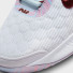 Nike Court Zoom NXT HC DH0222-102