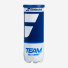 Babolat Team All Court 3ball