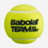 Babolat Team All Court 3ball