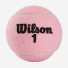 Wilson Intrigue All Court 2ball