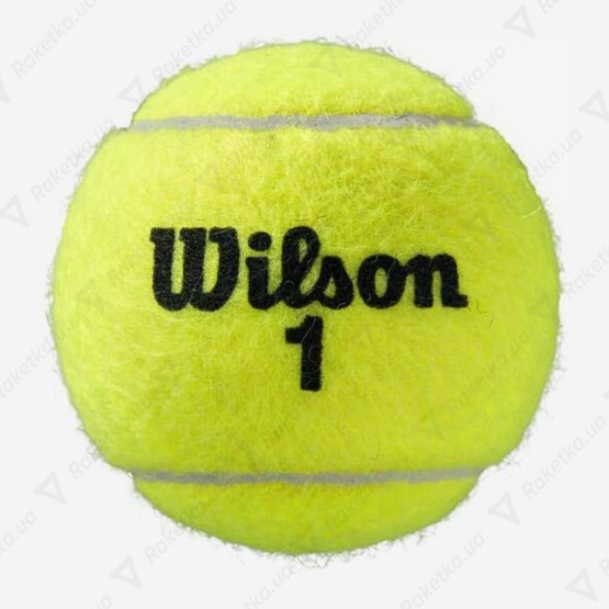Wilson Roland Garros All Court 72ball