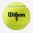 Wilson Roland Garros All Court 72ball