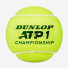 Dunlop ATP Champions 4 ball