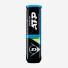 Dunlop ATP Champions 4 ball