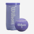 Wilson Aqualuna All Court Violet 2ball