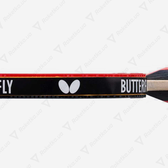 Butterfly Team Champion