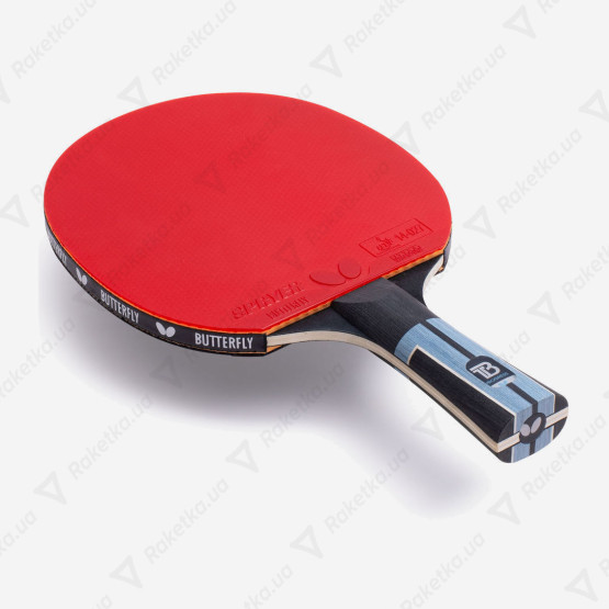 Butterfly Timo Boll Progress