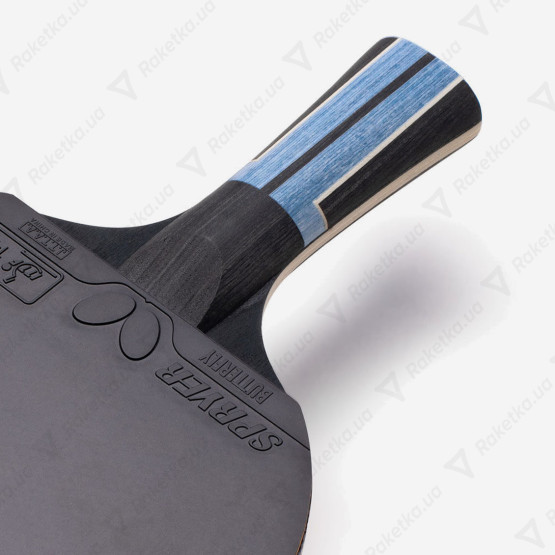 Butterfly Timo Boll Progress