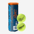Bullpadel BP Fip Next 3ball