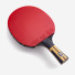 Butterfly Timo Boll Force
