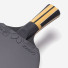 Butterfly Timo Boll Force