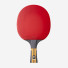 Butterfly Timo Boll Force
