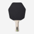 Stiga Cybershape 1 Star