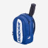 Babolat Court Hero Backpack 753112/102