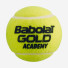 Babolat Gold Academy 72ball 514008/113