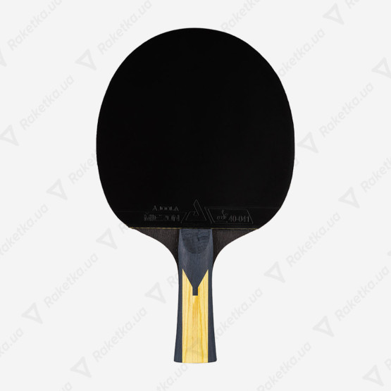 Joola Carbon Pro new